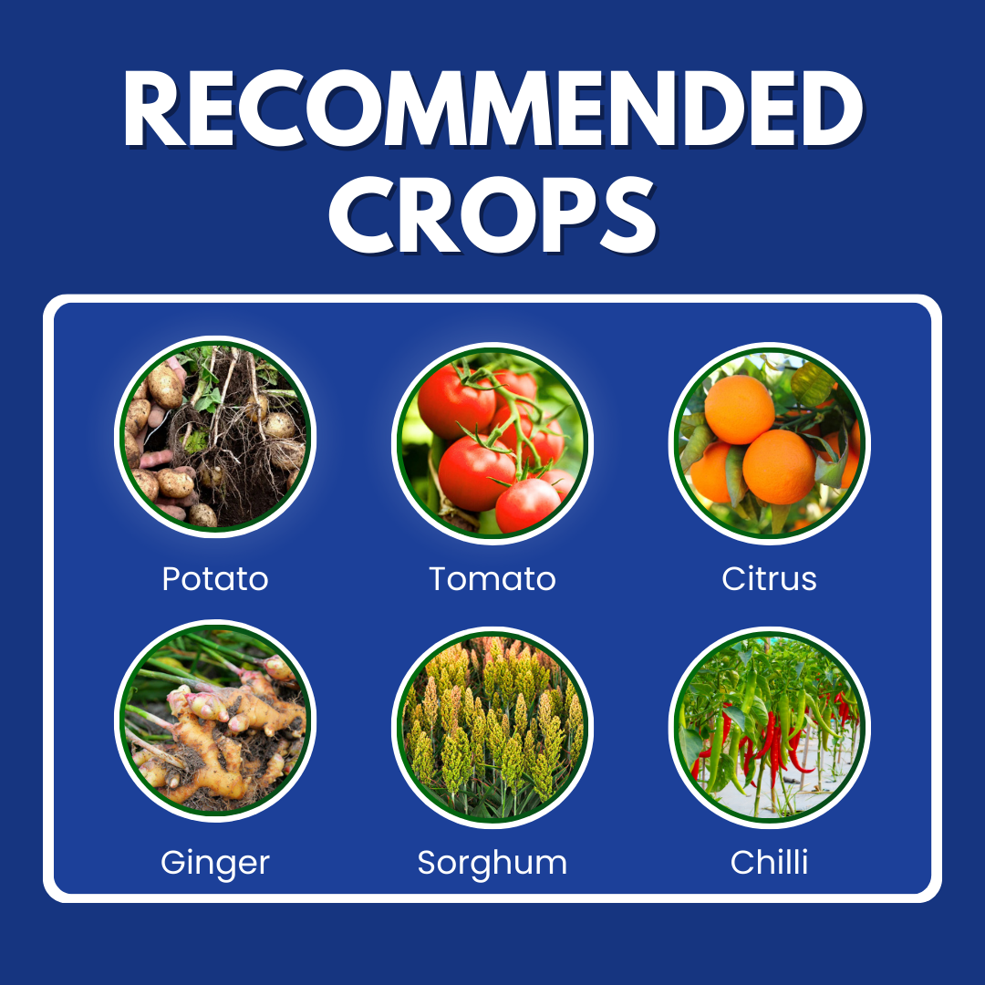 Katyayani Dr Blight - Metalaxyl-M 3.3% + Chlorothalonil 33.1% SC