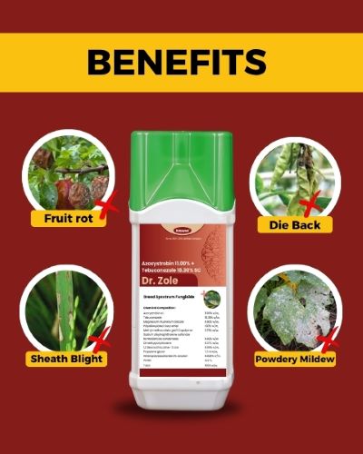 Katyayani Dr. Zole - Azoxystrobin 11.00% + Tebuconazole 18.30% SC