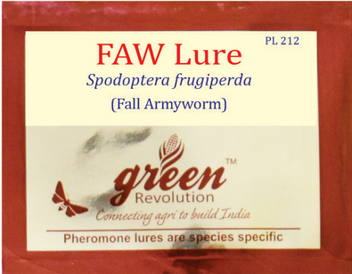 Combo Pack of Funnel Pheromone Trap + FAW Pheromone Lure