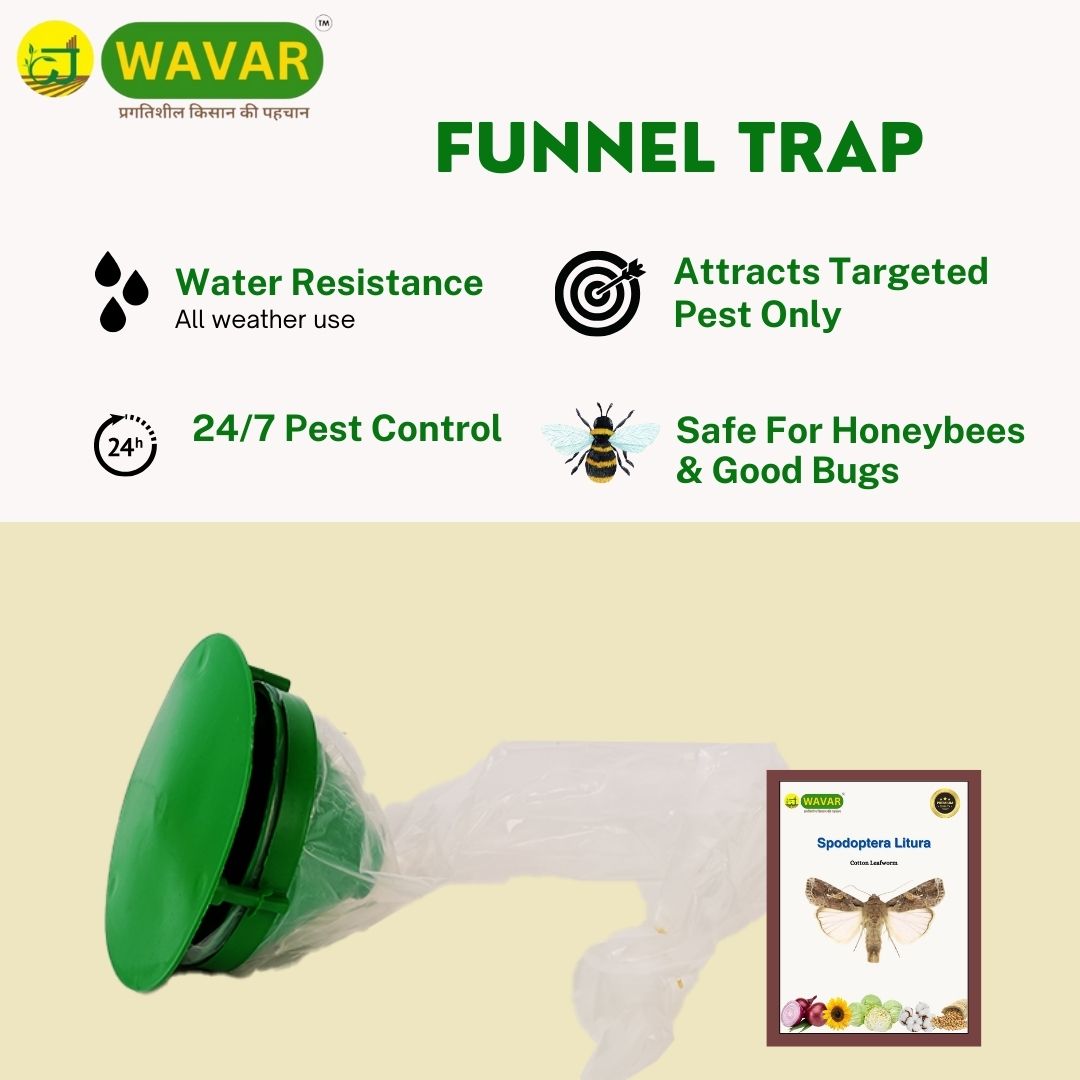 Wavar Funnel Trap with Spodoptera Litura