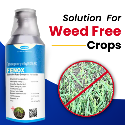 Katyayani Fenox - Fenoxaprop-p-ethyl 9.3% EC