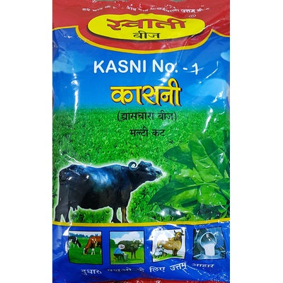Fodder Kasni No - 1