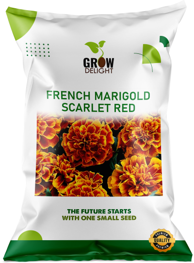 Grow Delight Imported French Marigold Scarlet Red - 200 seeds