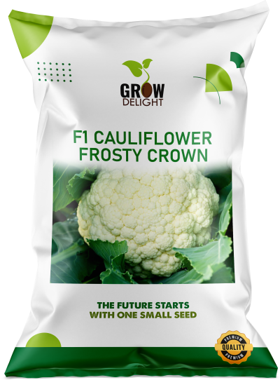 Cauliflower F1 Frosty Crown