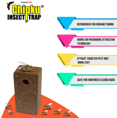 Chipku Pheromone Mac Phill Trap with Fruit Fly Lure (Combo Pack of 5)