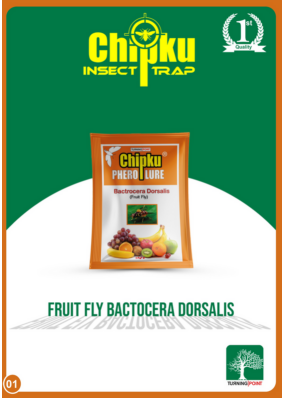Chipku Fruit Fly Lure