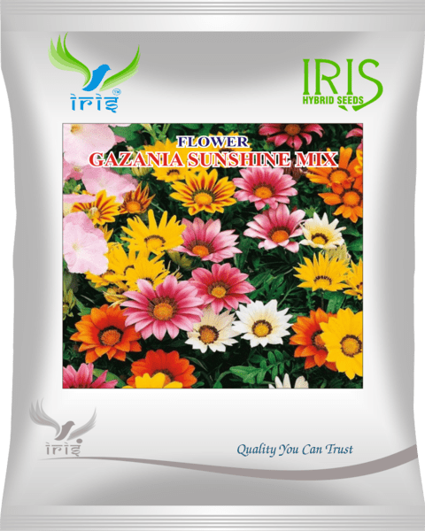 Iris Imported OP Gaznia Sunshine Mix 300+ Seeds