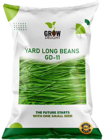 Grow Delight Yard Long Beans GD-11