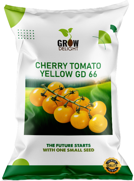 Grow Delight Cherry Tomato Yellow GD 66