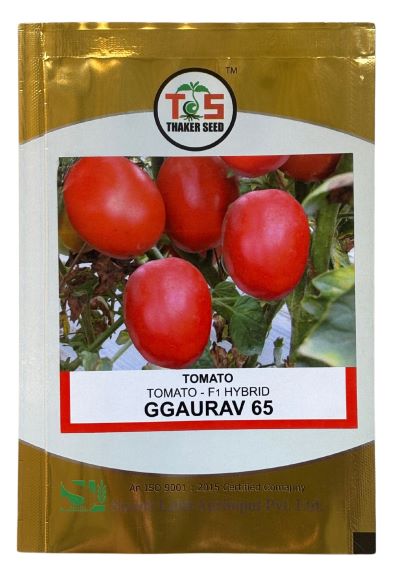 Tomato GGaurav-65