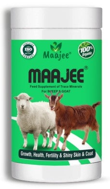 Maajee Feed Supplement for Goat and Sheep