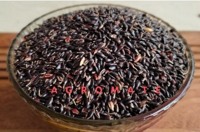 Fodder Gopi Ghas Seed 100 grams