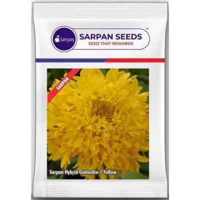 Gailardia Sarpan 1 Yellow