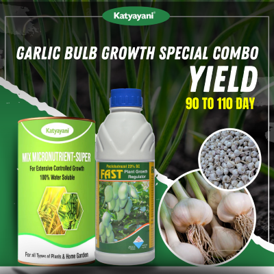 Katyayani Garlic Bulb Special Growth Combo