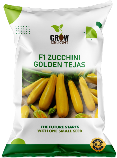 Zucchini / Tori F1 Golden Tejas