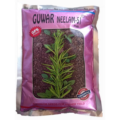 Clusterbean / Guar Neelam-51