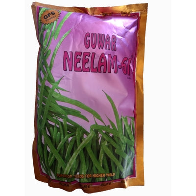 Clusterbean / Guar Neelam-61