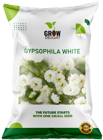 Grow Delight Imported Gypsophila White