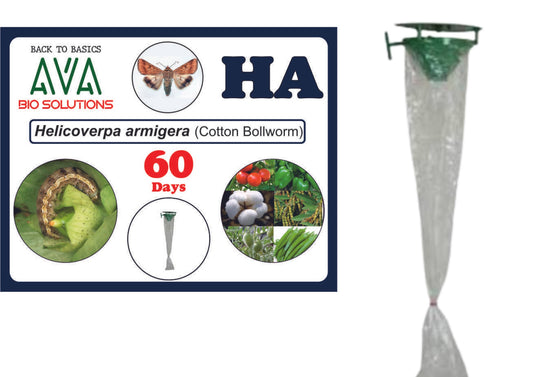 Ava Combo Pack of Funnel Pheromone Trap + HA Lure