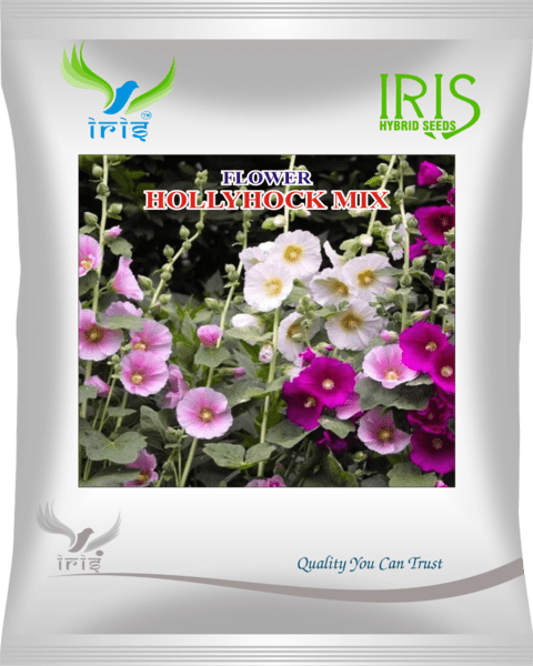 Iris Imported OP Hollyhock Mix 300+ Seeds