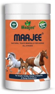 Maajee Nutritious Supplement Powder for Horse 908 grams (B2G1)