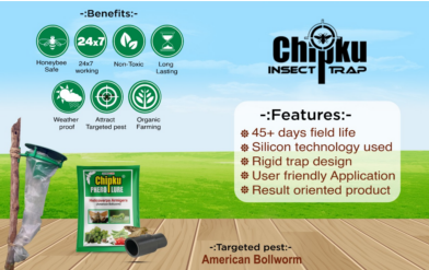 Chipku Helicoverpa Lure