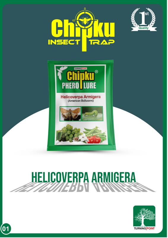 Chipku Helicoverpa Lure