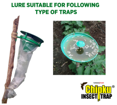 Chipku Helicoverpa Lure