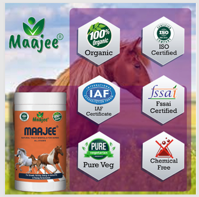 Maajee Natural Trace Minerals for Horse all Stages