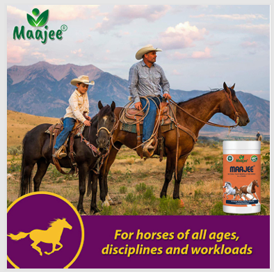 Maajee Natural Trace Minerals for Horse all Stages