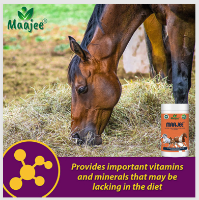 Maajee Natural Trace Minerals for Horse all Stages