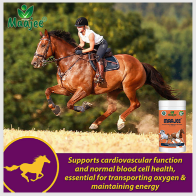 Maajee Natural Trace Minerals for Horse all Stages
