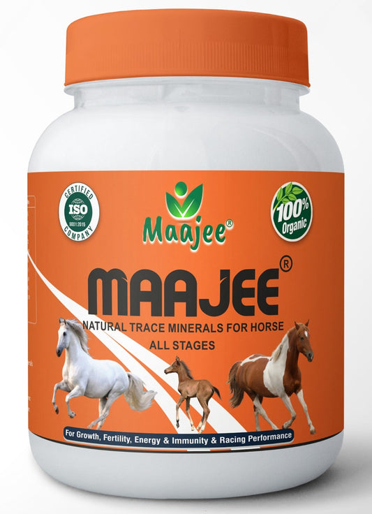Maajee Natural Trace Minerals for Horse all Stages