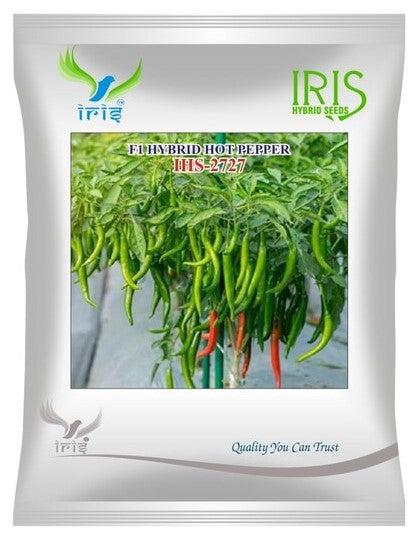 Chilli / Hot Pepper F1 Iris IHS-2727 10 grams