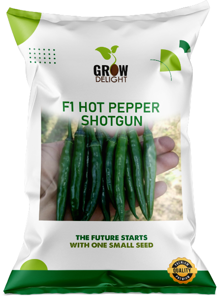 Chilli / Hot Pepper F1 Shotgun
