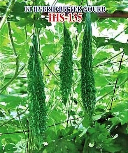 BitterGourd / Karela F1 Iris IHS-135 20 grams
