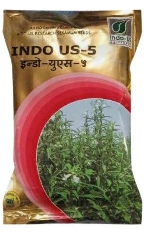 Seasamum / Til Indo US 5