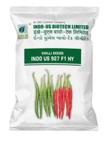 Chilli / Hot Pepper F1 Indo US 927