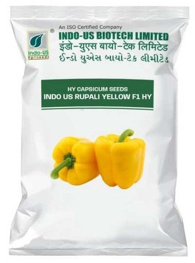Capsicum F1 Indo Us Rupali Yellow
