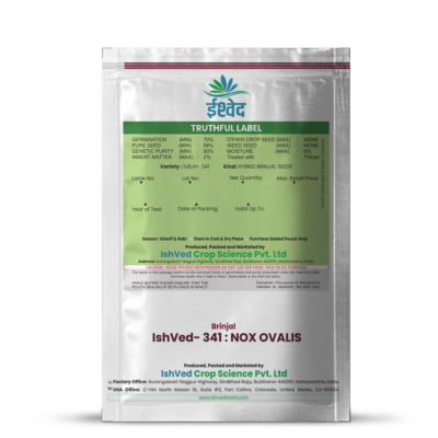 Brinjal IVBJH-341 10 grams