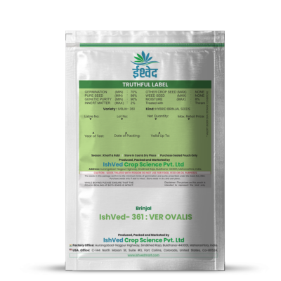 Brinjal IVBJH-361 10 grams