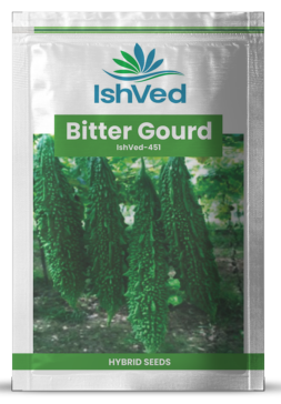 BitterGourd / Karela IVBRH-451 50 grams
