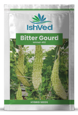 BitterGourd / Karela IVBRH-452 50 grams