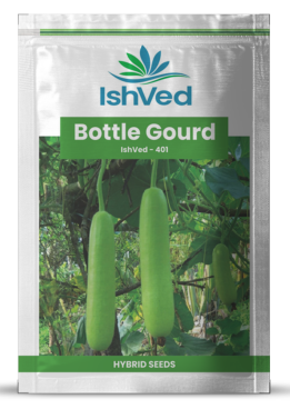 Bottlegourd / Lauki IVBTH-401 50 grams