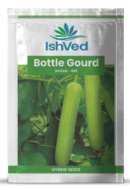 Bottlegourd / Lauki IVBTH-402 50 grams
