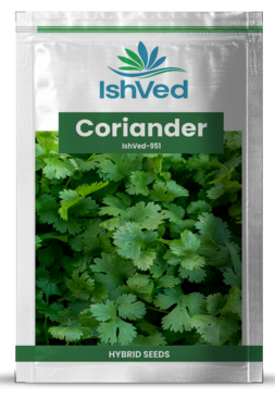 Coriander / Dhaniya IVCOR-951 500 grams