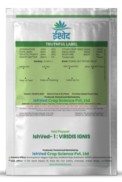 Chilli / Hot Pepper IVHPH-1