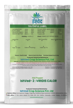 Chilli / Hot Pepper IVHPH-2