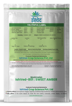 Muskmelon / Kharbooja IVMMH-801 50 grams
