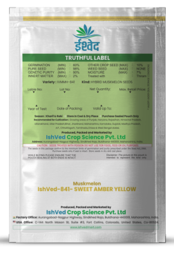 Muskmelon / Kharbooja IVMMH-841 50 grams